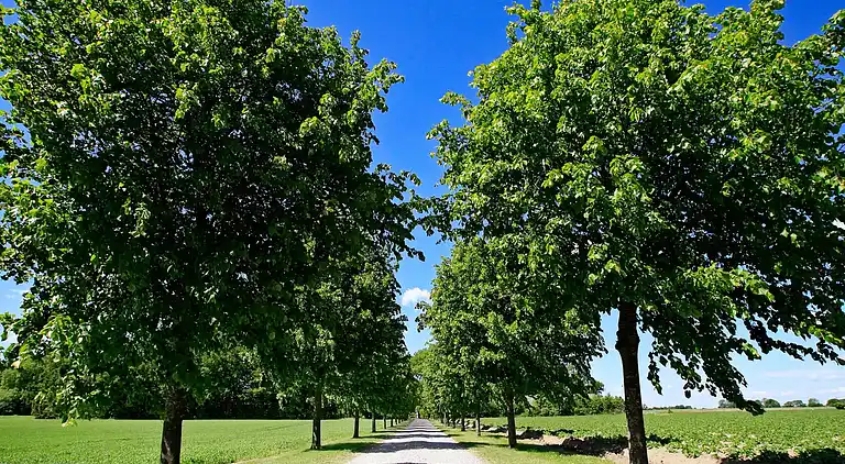 Holiday home in Rynkeby