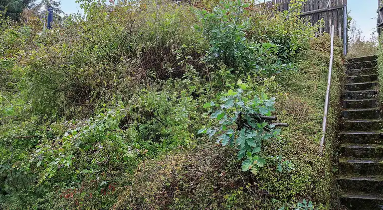 Vakantiehuis in Roslev