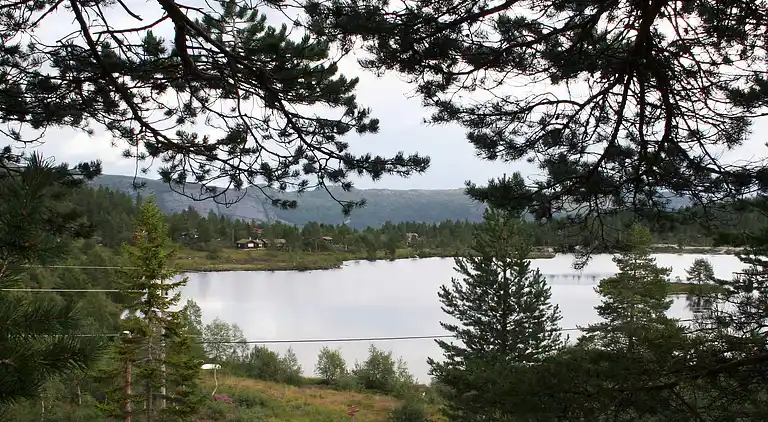 Holiday home in Åseral Municipality