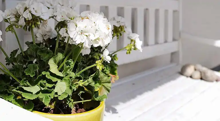 Casa vacanze in Asperup