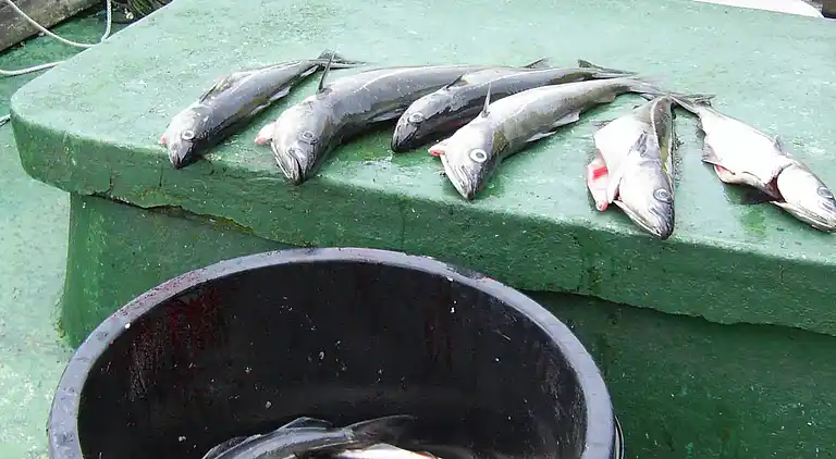 Sommerhus i Lauvstad