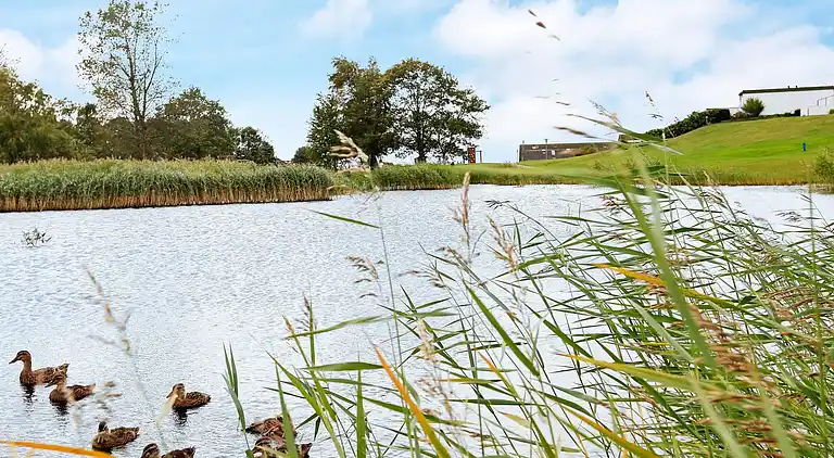 Holiday home in Tranekær