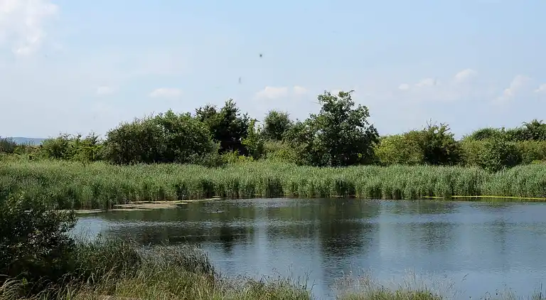 Vakantiehuis in Bogense