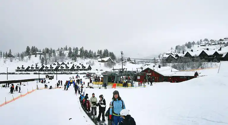 Sommerhus i Åseral