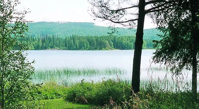 Holiday home in Torsby Municipality