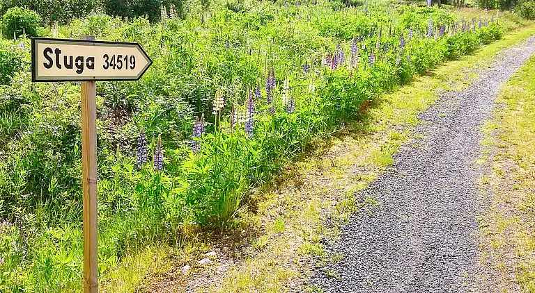 Feriebolig i Torsby V