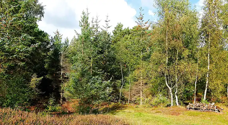 Feriebolig i Dueodde