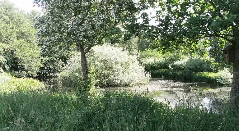 Sommerhus i Vesterø Havn