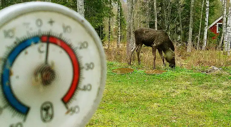 Feriebolig i Torsby V