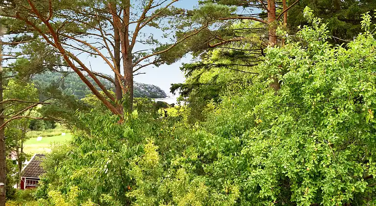 Vakantiehuis in Tanum V