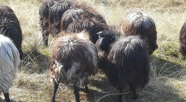 Holiday home in Kattenberg