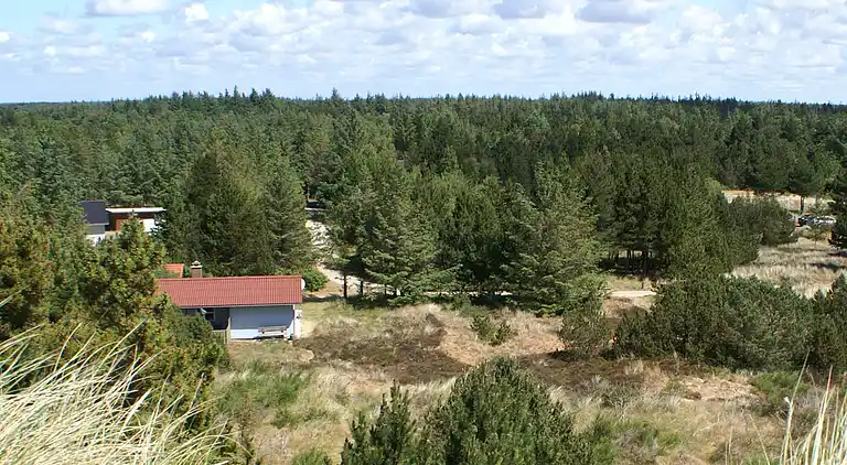Sommerhus i Blåvand
