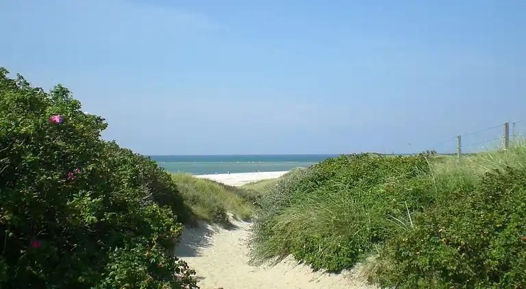 Sommerhus i Blåvand