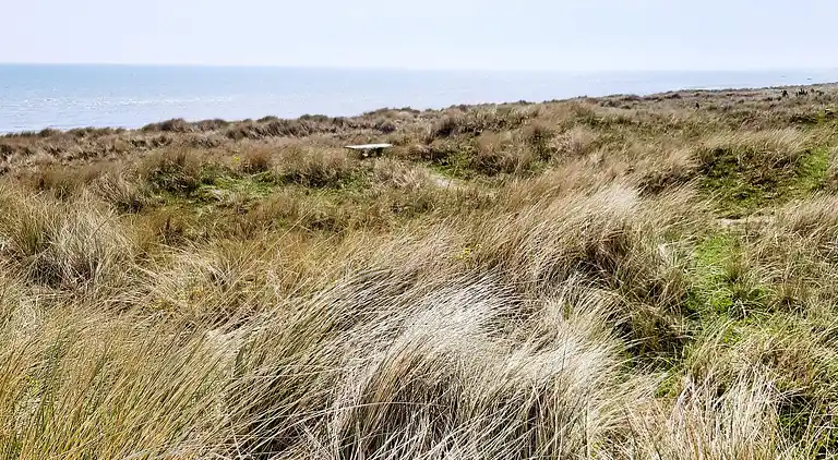 Ferienhaus in Ålbæk