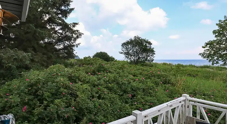 Vakantiehuis in Oure