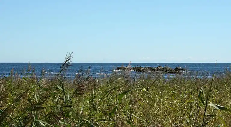 Vakantiehuis in Svaneke