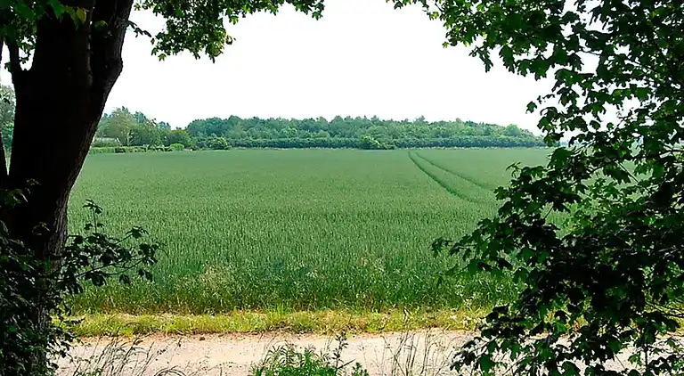 Holiday home in Otterup