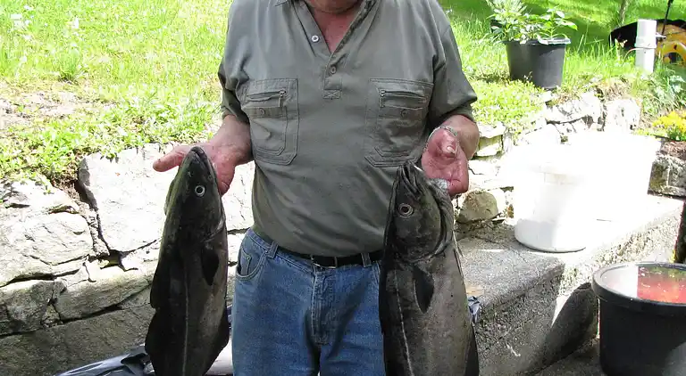 Holiday home in Myklebust