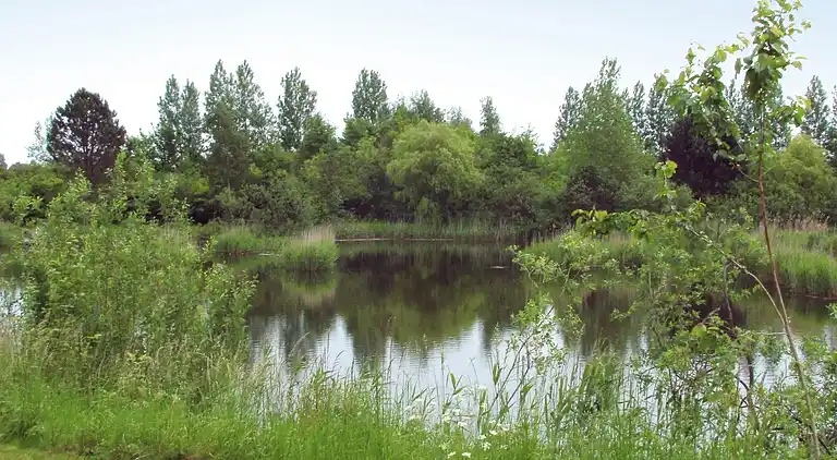 Sommerhus i Tranekær