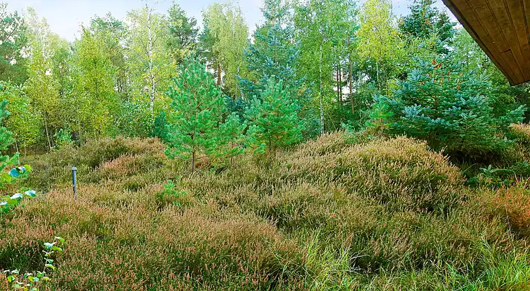 Feriebolig i Dueodde