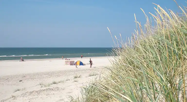 Sommerhus i Blåvand