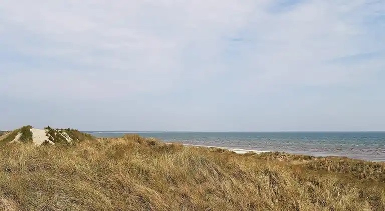 Ferienhaus in Ålbæk