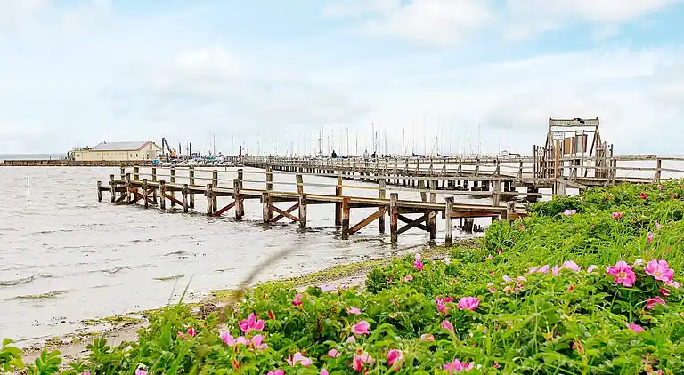 Holiday home in Wackerballig