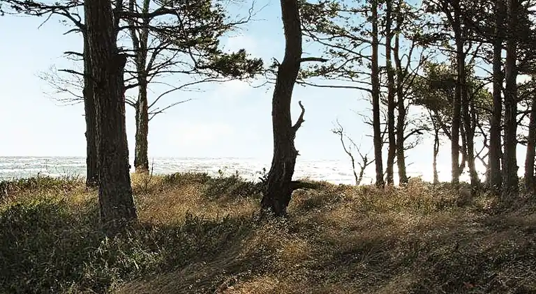 Holiday home in Snogebæk