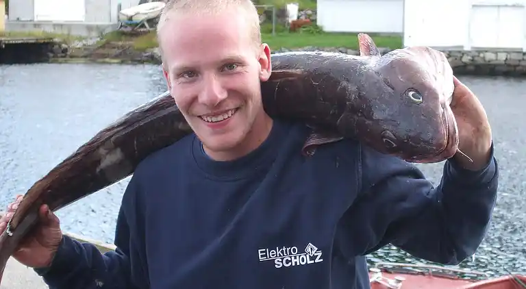 Holiday home in Bokn Municipality