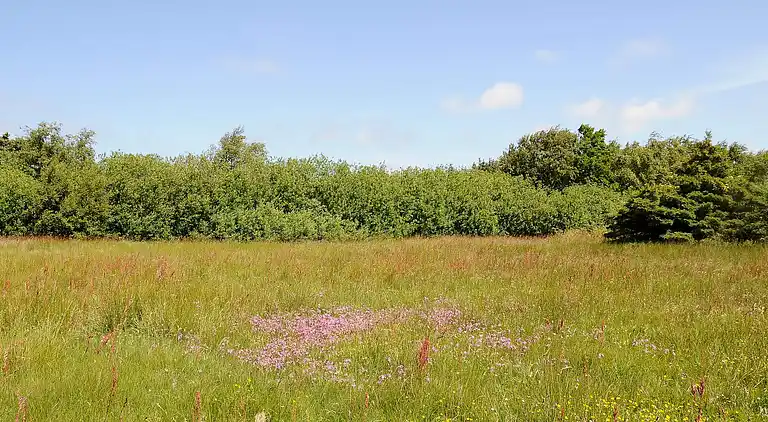 Maison de vacances en Ulfborg