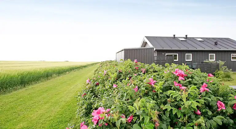 Holiday home in Skåstrup Strand