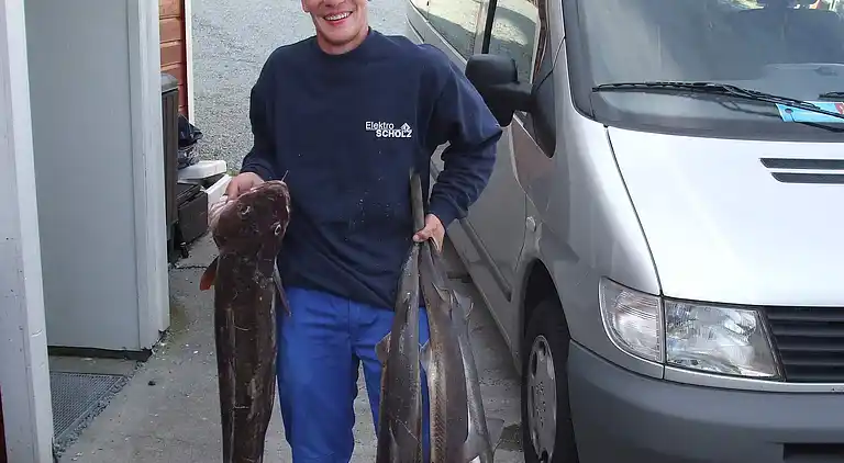 Holiday home in Bokn Municipality