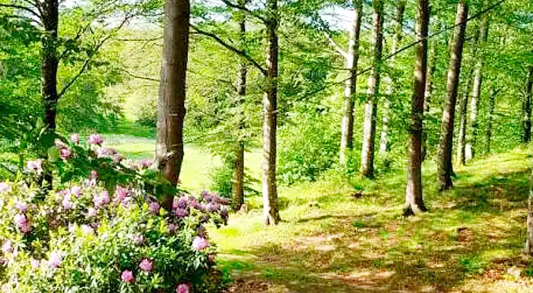 Semesterbostad i Perstorp