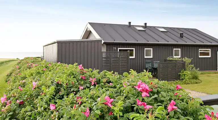 Holiday home in Skåstrup Strand