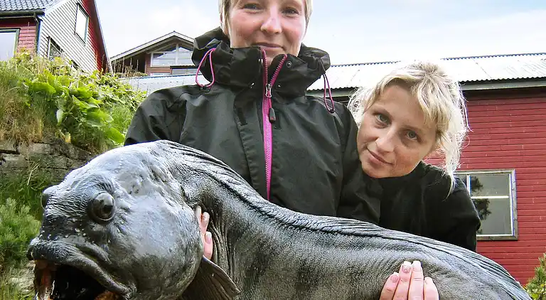 Holiday home in Hosteland