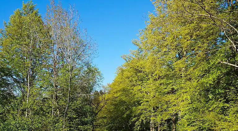 Sommerhus i Vänersborgs