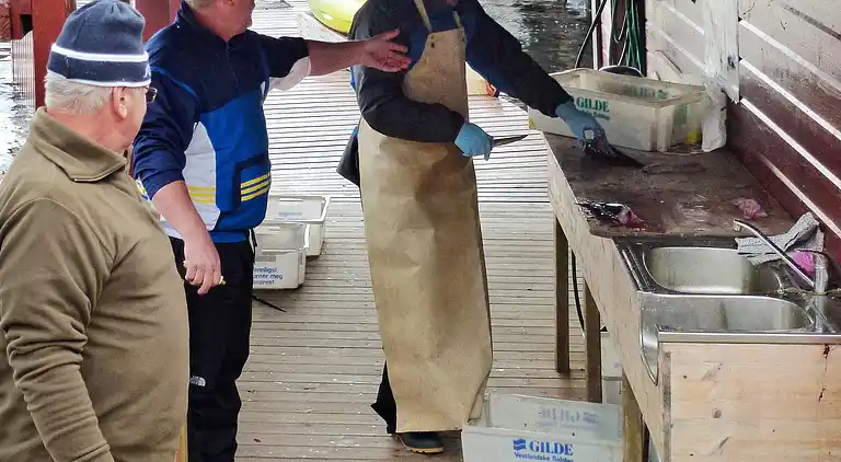 Holiday home in Hosteland