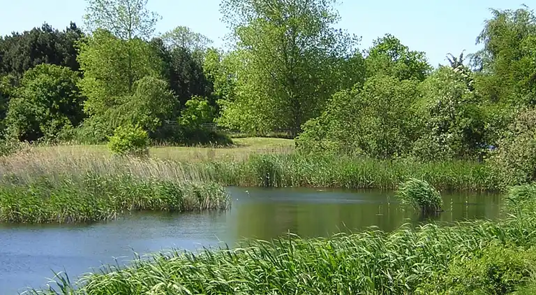 Holiday home in Tranekær