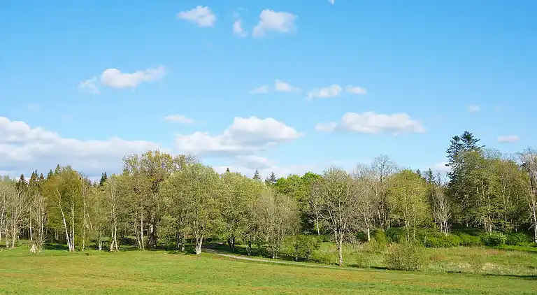 Sommerhus i Vänersborgs