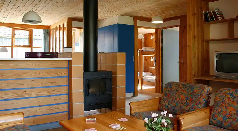 3 room, allergy Friendly