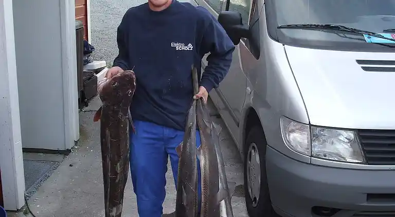 Holiday home in Bokn Municipality