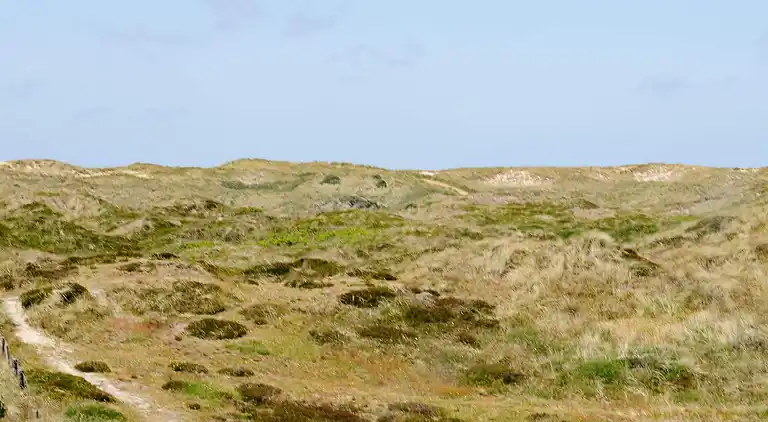 Sommerhus ved Vejers Strand