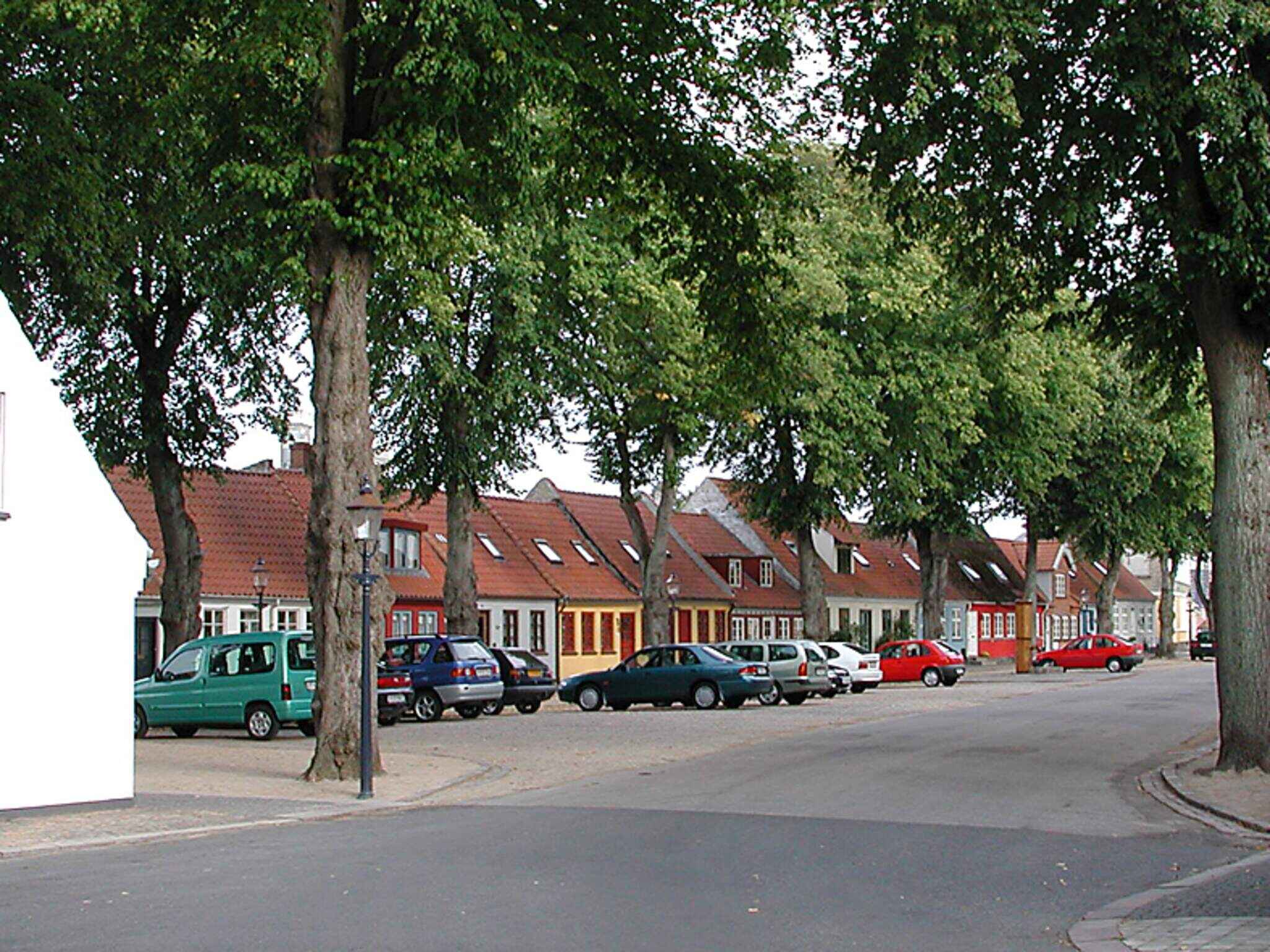 Large Image