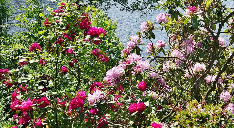 Semesterbostad i Perstorp