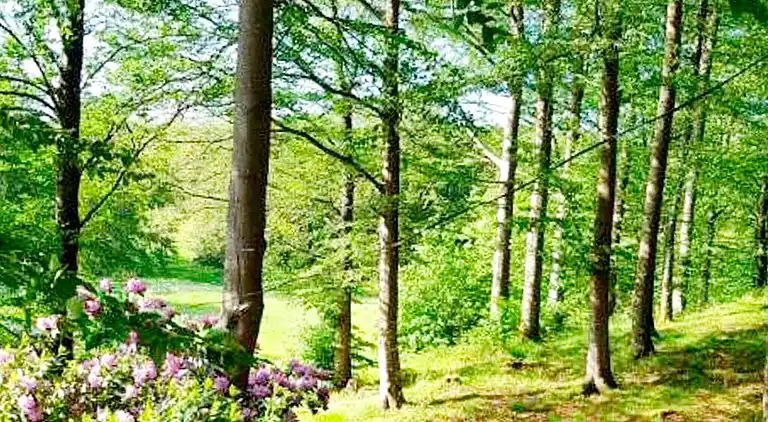 Semesterbostad i Perstorp