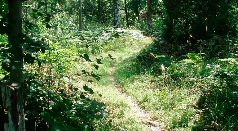 Semesterbostad i Karlshamn N