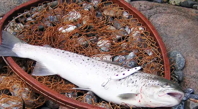 Holiday home in Ristinge