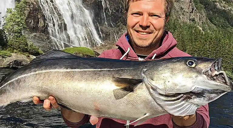 Holiday home in Bygstad