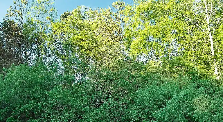 Sommerhus ved Helberskov Strand