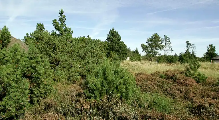 Holiday home in Fjerritslev